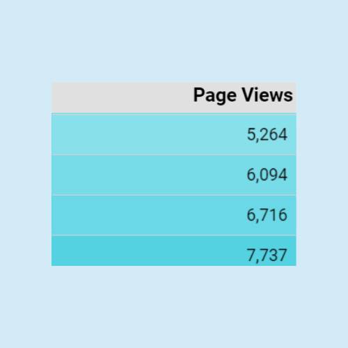 page view results maida