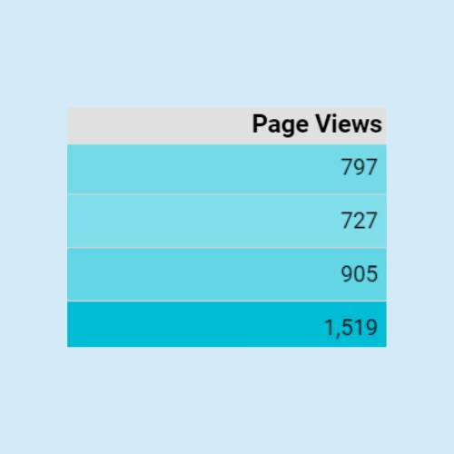 page view results mint