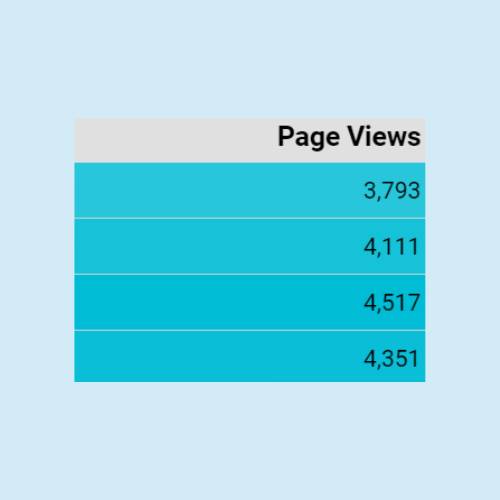 page view results