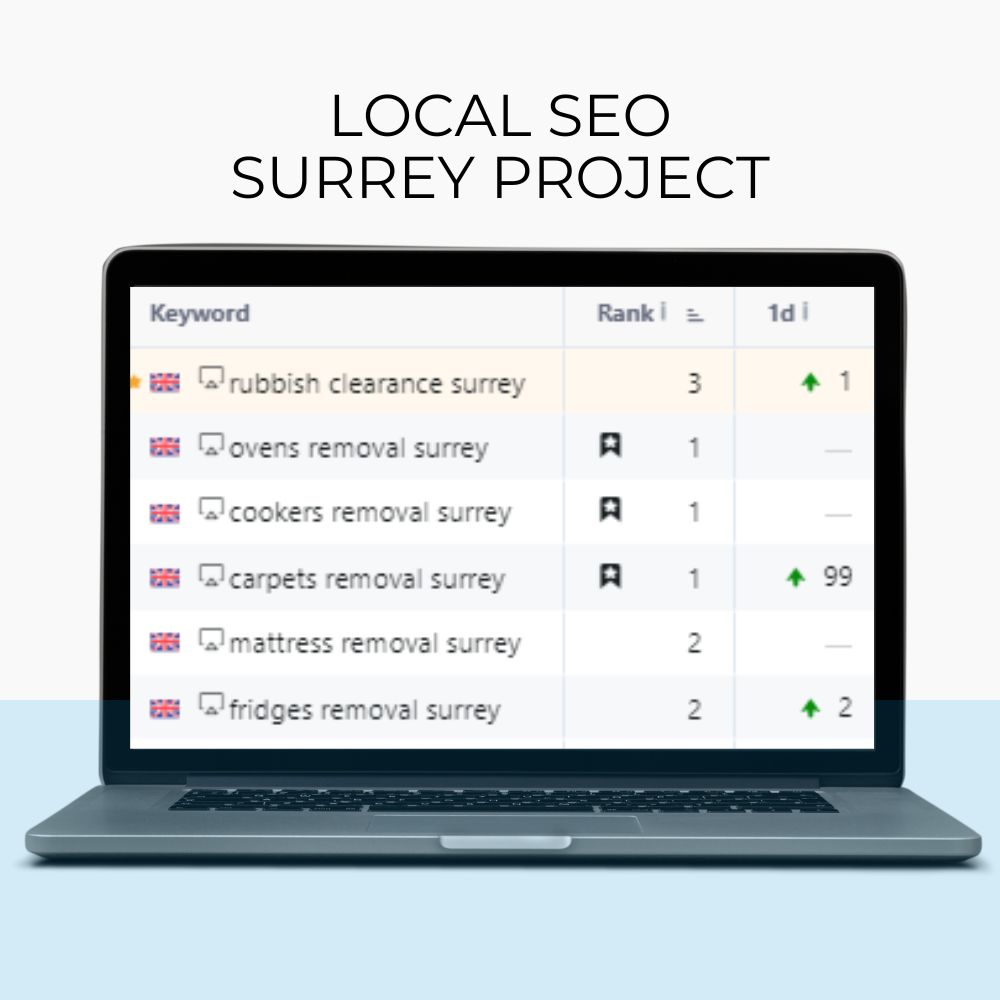 local seo project result